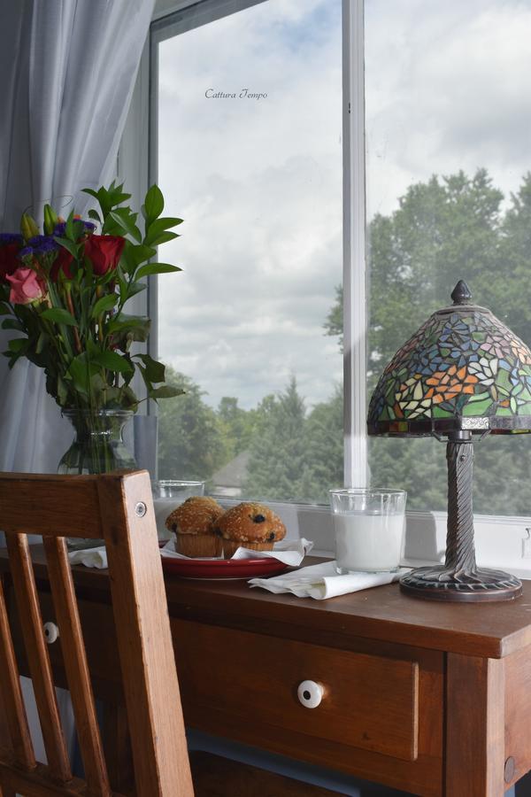 Winridge Manor Bed And Breakfast Madison Heights Dış mekan fotoğraf